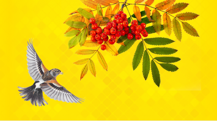 Единый семинар 1С
